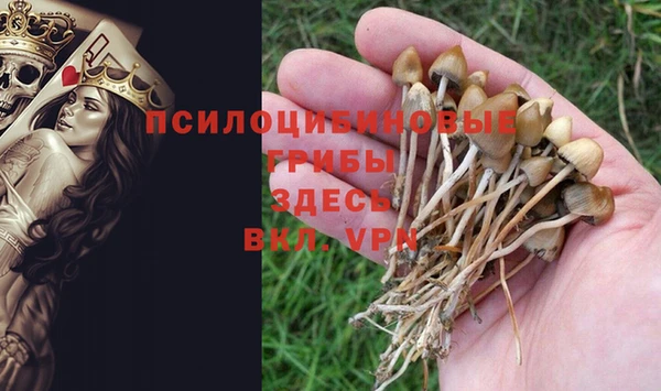 мдпв Абдулино