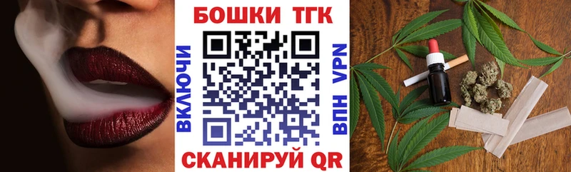 Бошки марихуана ГИДРОПОН  магазин продажи наркотиков  Камышлов 